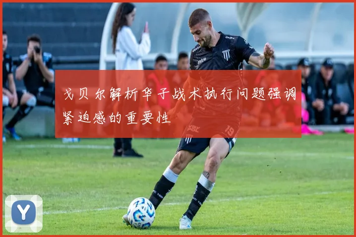 戈贝尔解析华子战术执行问题强调紧迫感的重要性