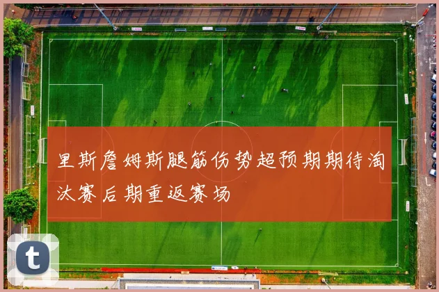 里斯詹姆斯腿筋伤势超预期期待淘汰赛后期重返赛场