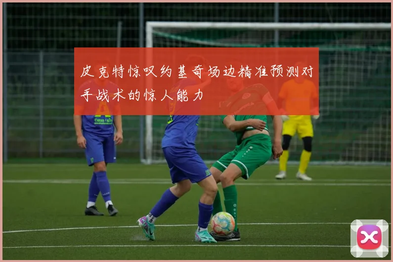皮克特惊叹约基奇场边精准预测对手战术的惊人能力